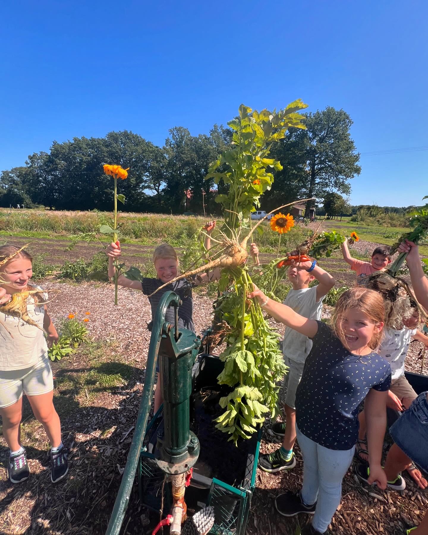 Freilandwerk – Galerie Bild 12