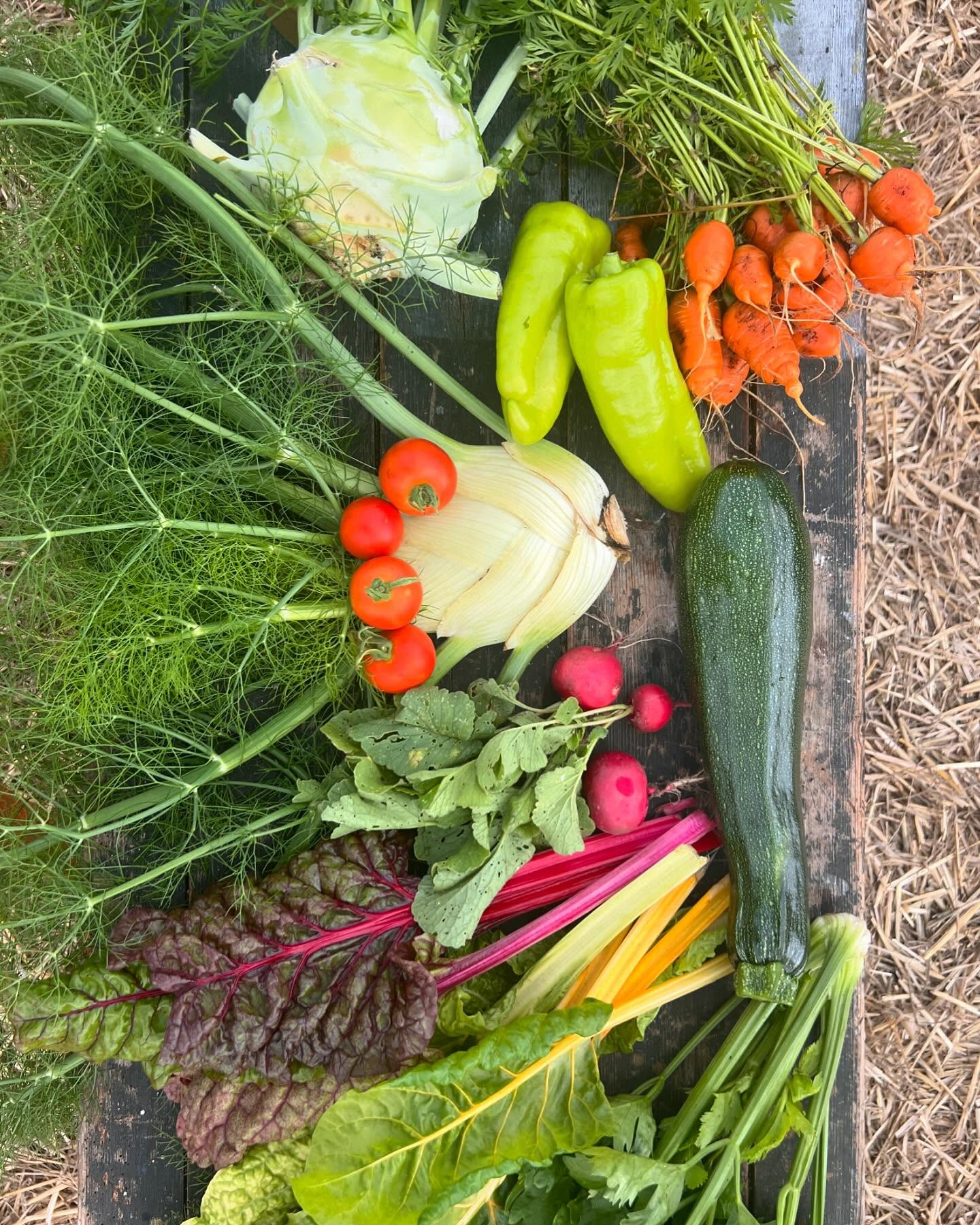 Freilandwerk – Galerie Bild 16