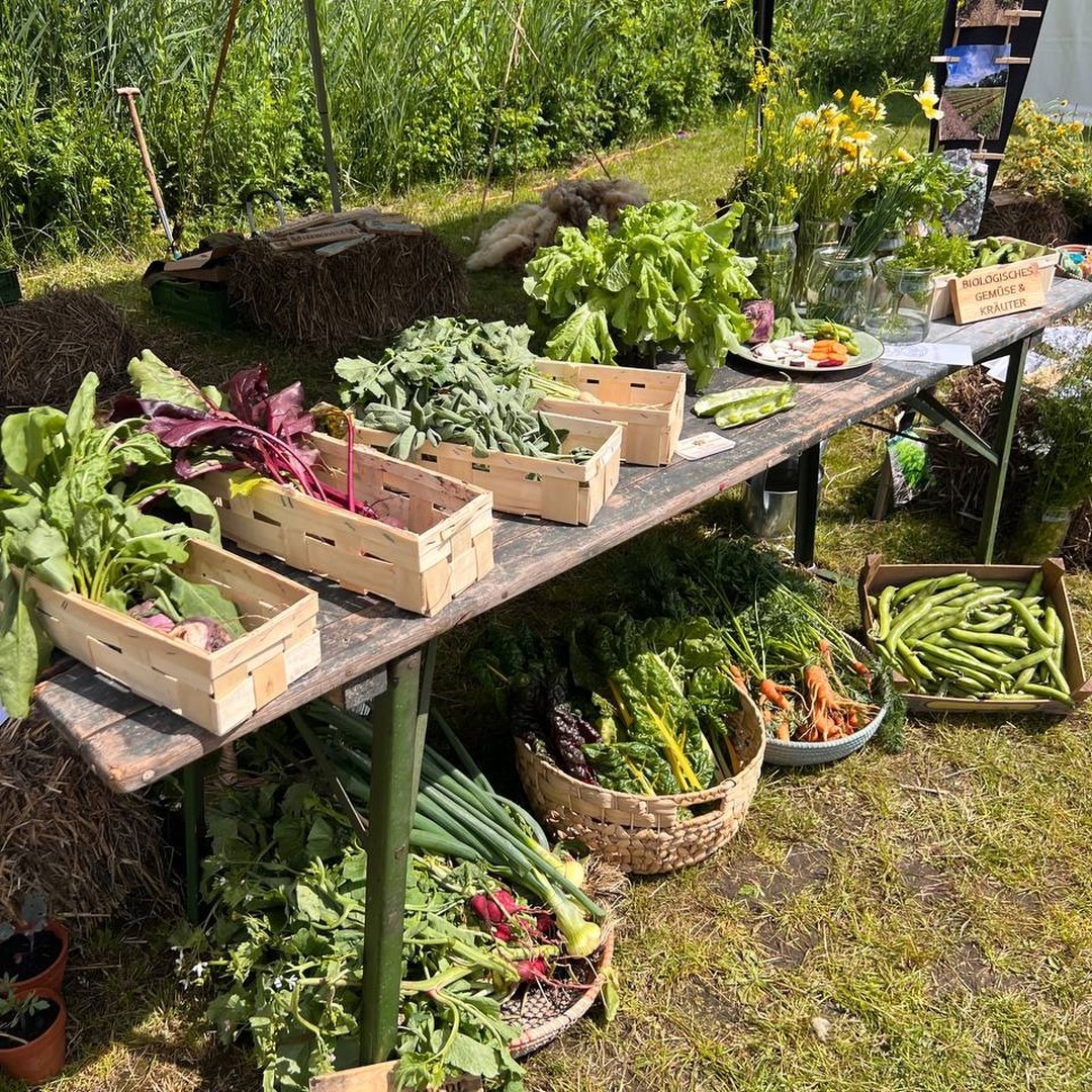 Freilandwerk – Galerie Bild 18