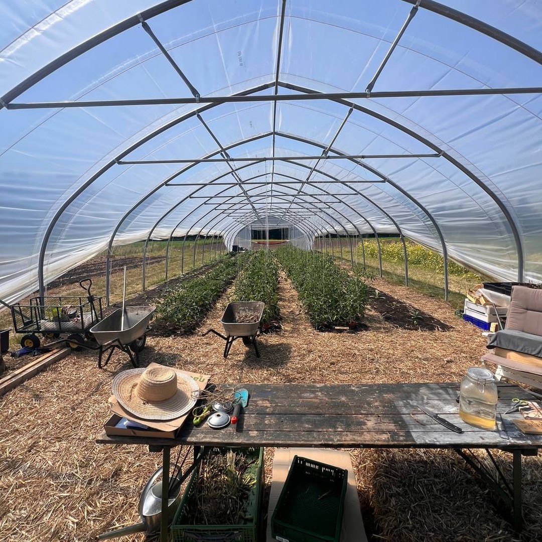 Freilandwerk – Galerie Bild 19