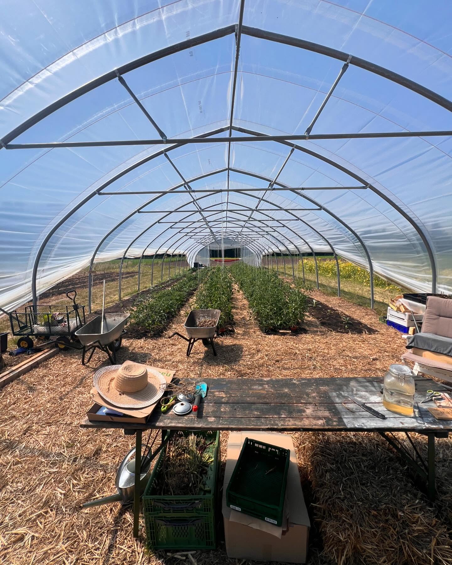 Freilandwerk – Galerie Bild 3