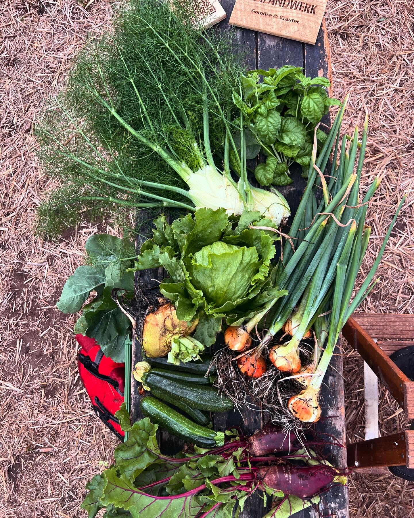 Freilandwerk – Galerie Bild 25