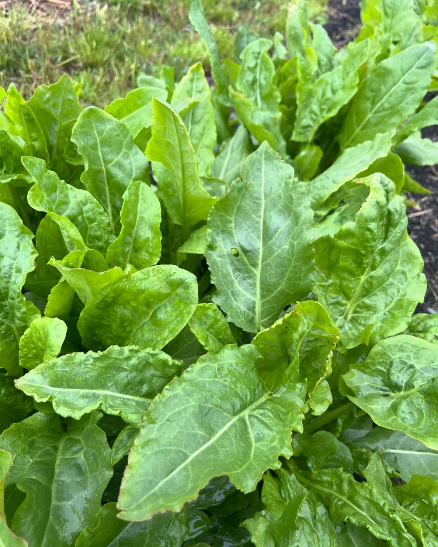 Freilandwerk – Galerie Bild 30