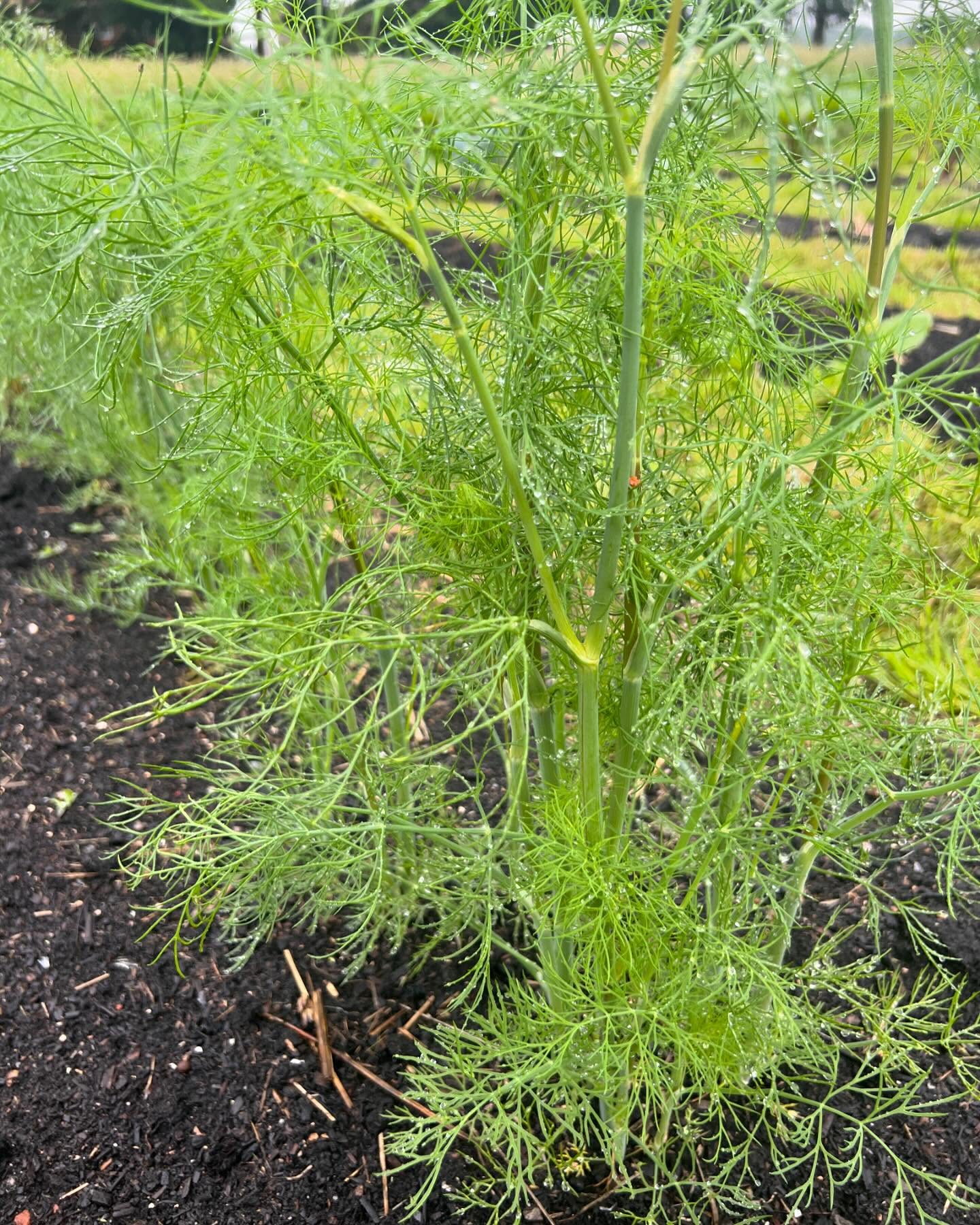 Freilandwerk – Galerie Bild 31