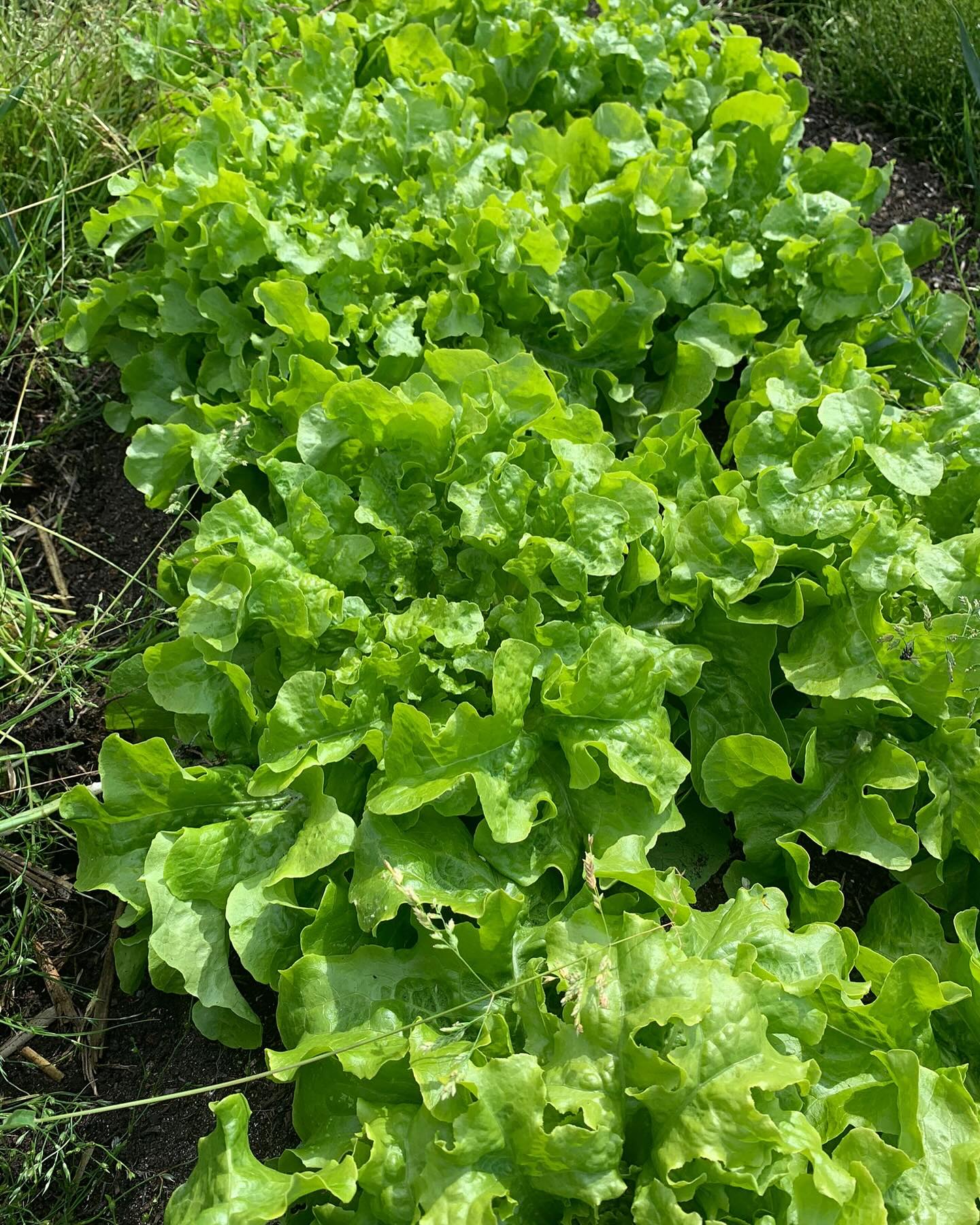 Freilandwerk – Galerie Bild 34