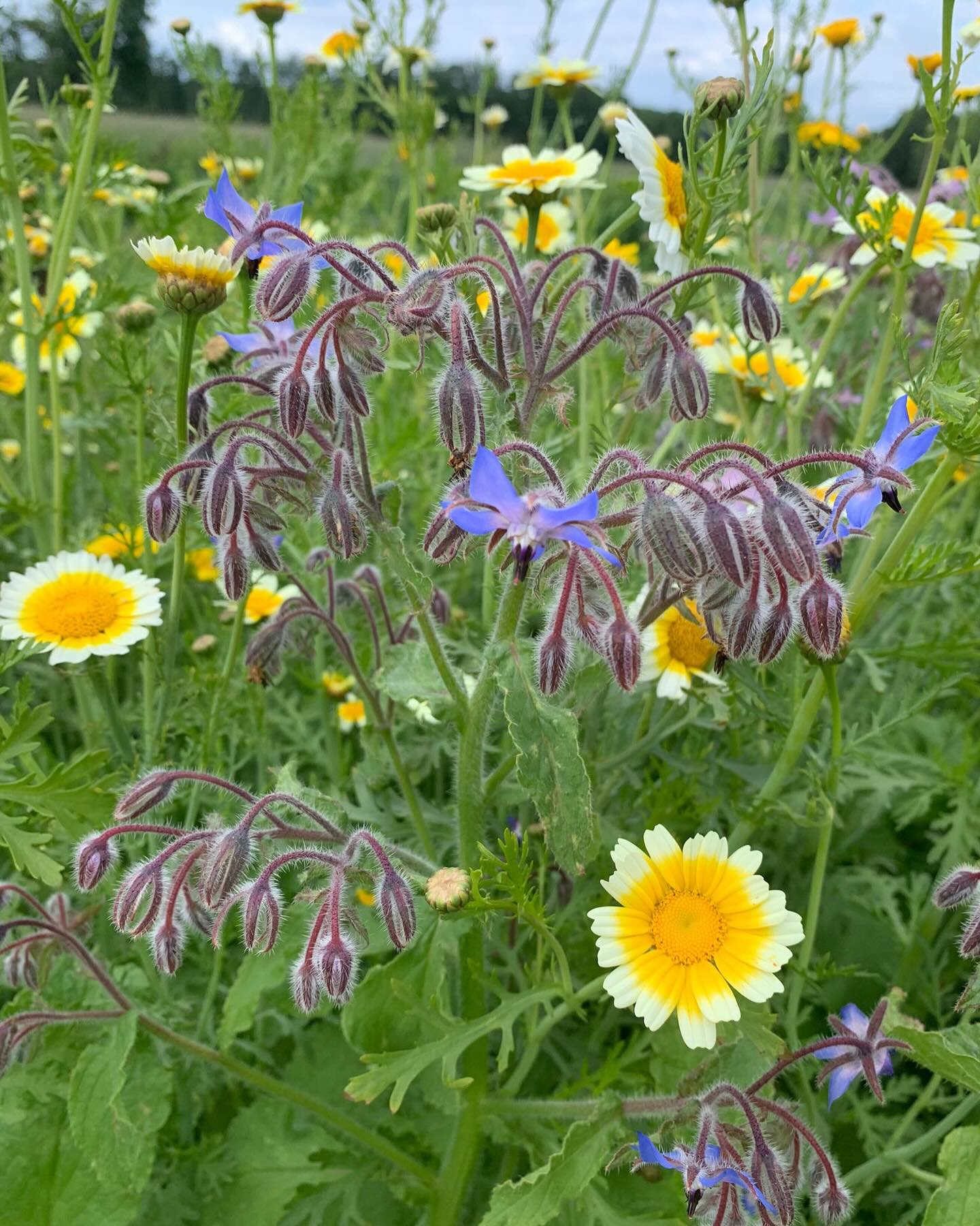 Freilandwerk – Galerie Bild 36