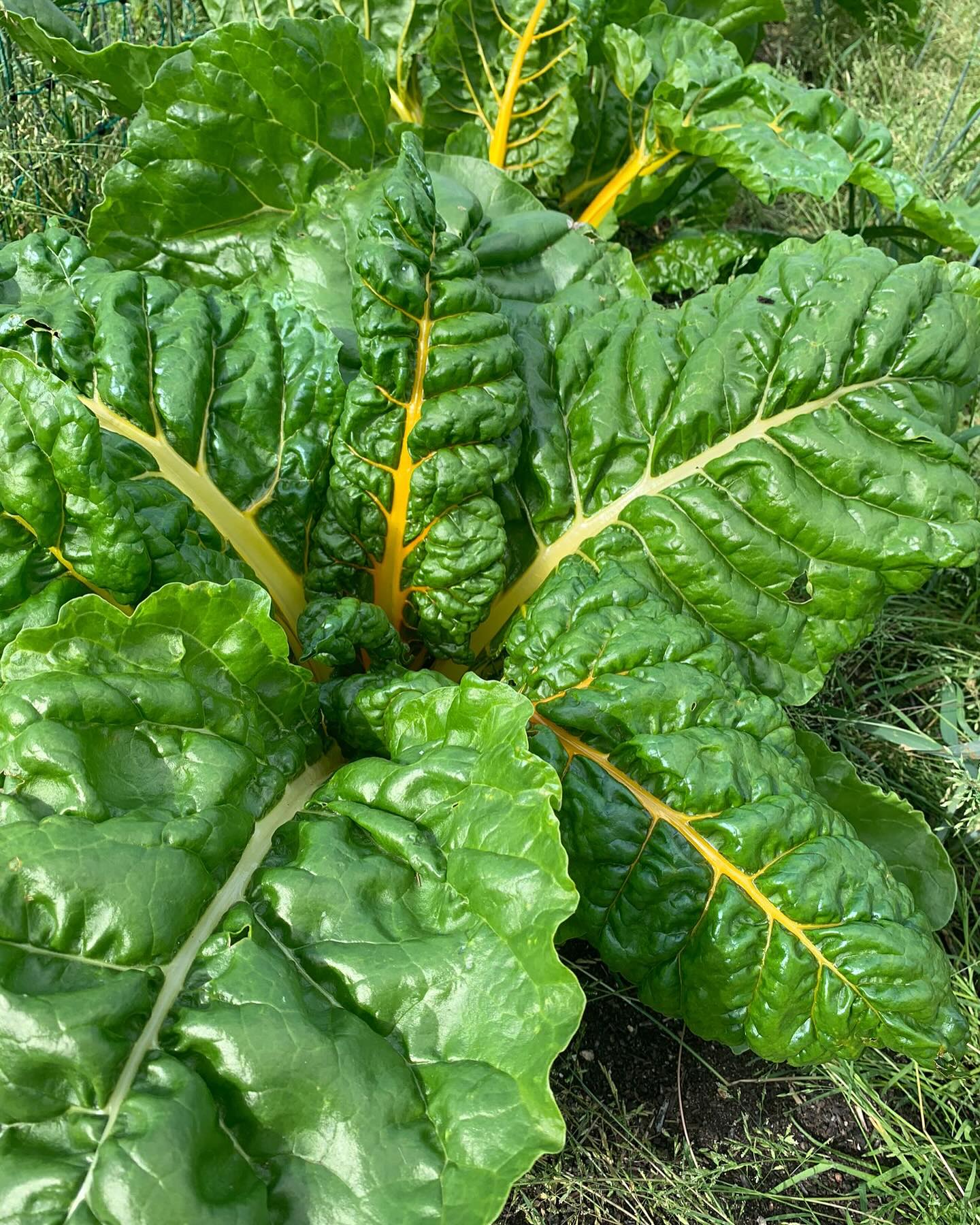 Freilandwerk – Galerie Bild 37