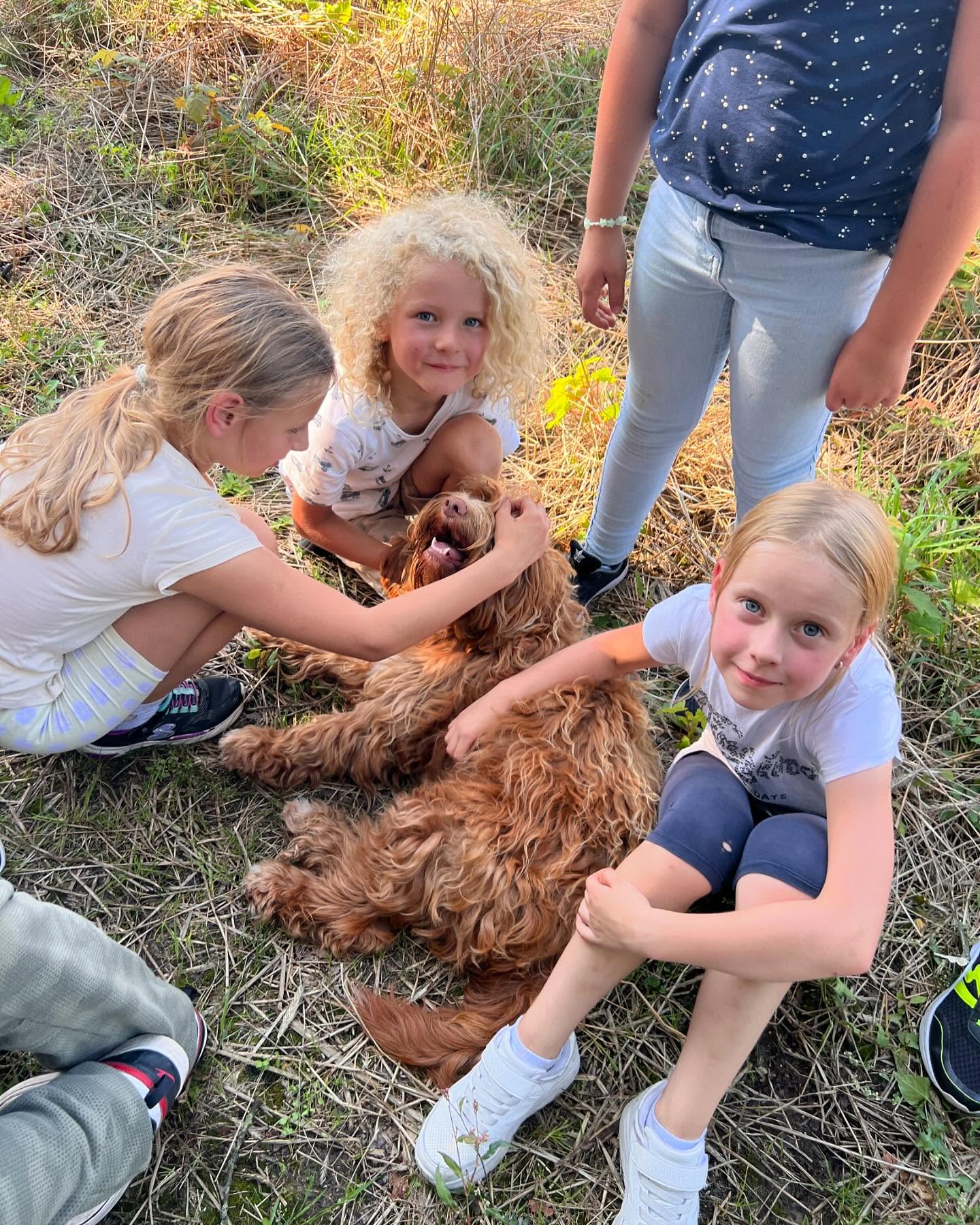 Freilandwerk – Galerie Bild 8