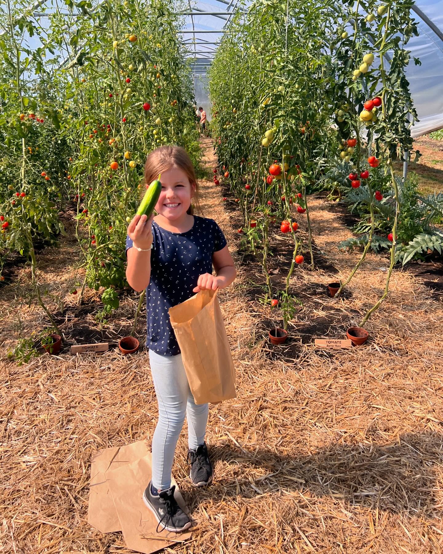 Freilandwerk – Galerie Bild 9