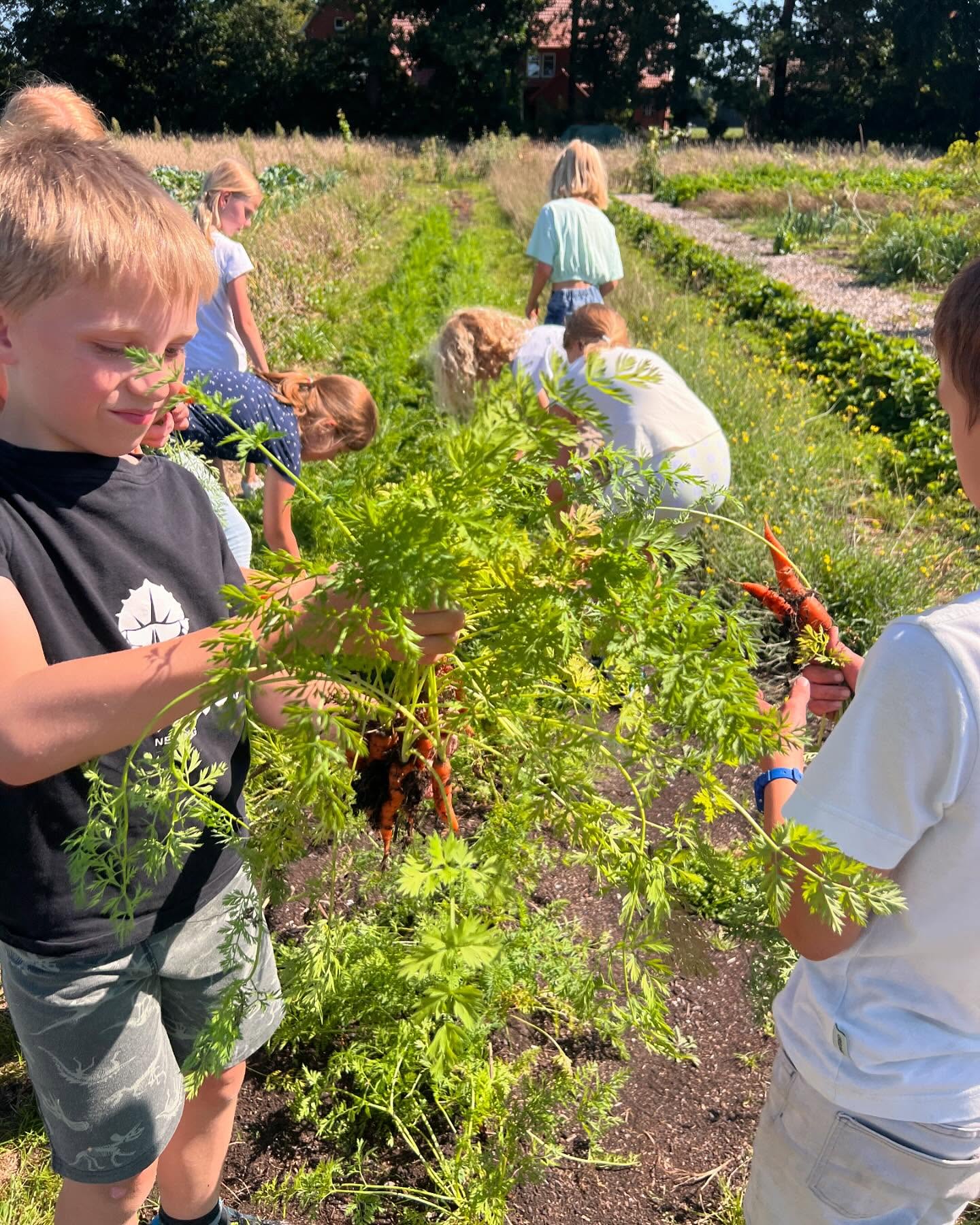 Freilandwerk – Galerie Bild 10